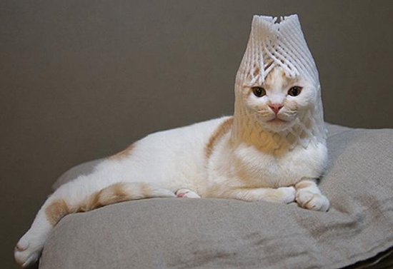 ирина дахно